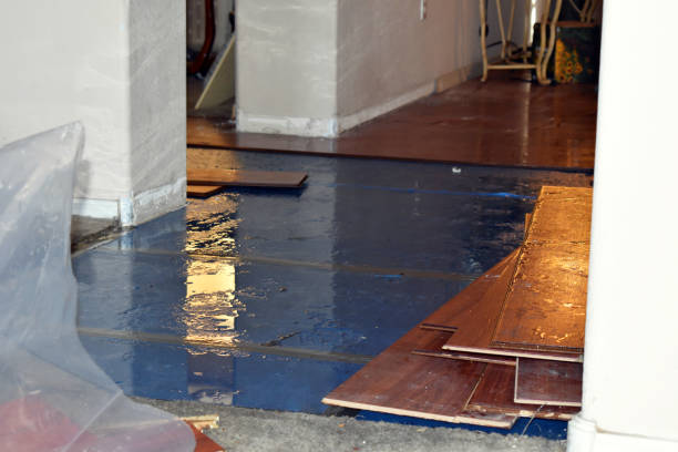 Professional Emergency Water Damage Restoration technician working in Belmar, NJ